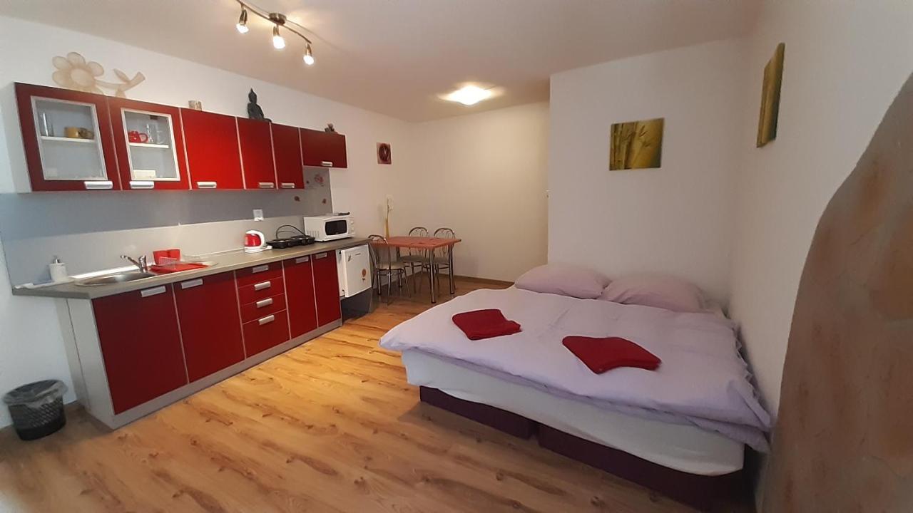 Vyšné Ružbachy Privat Bene 아파트 객실 사진