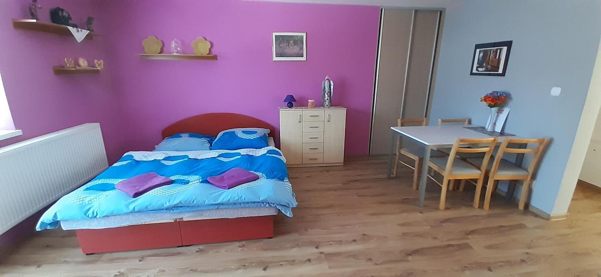 Vyšné Ružbachy Privat Bene 아파트 객실 사진