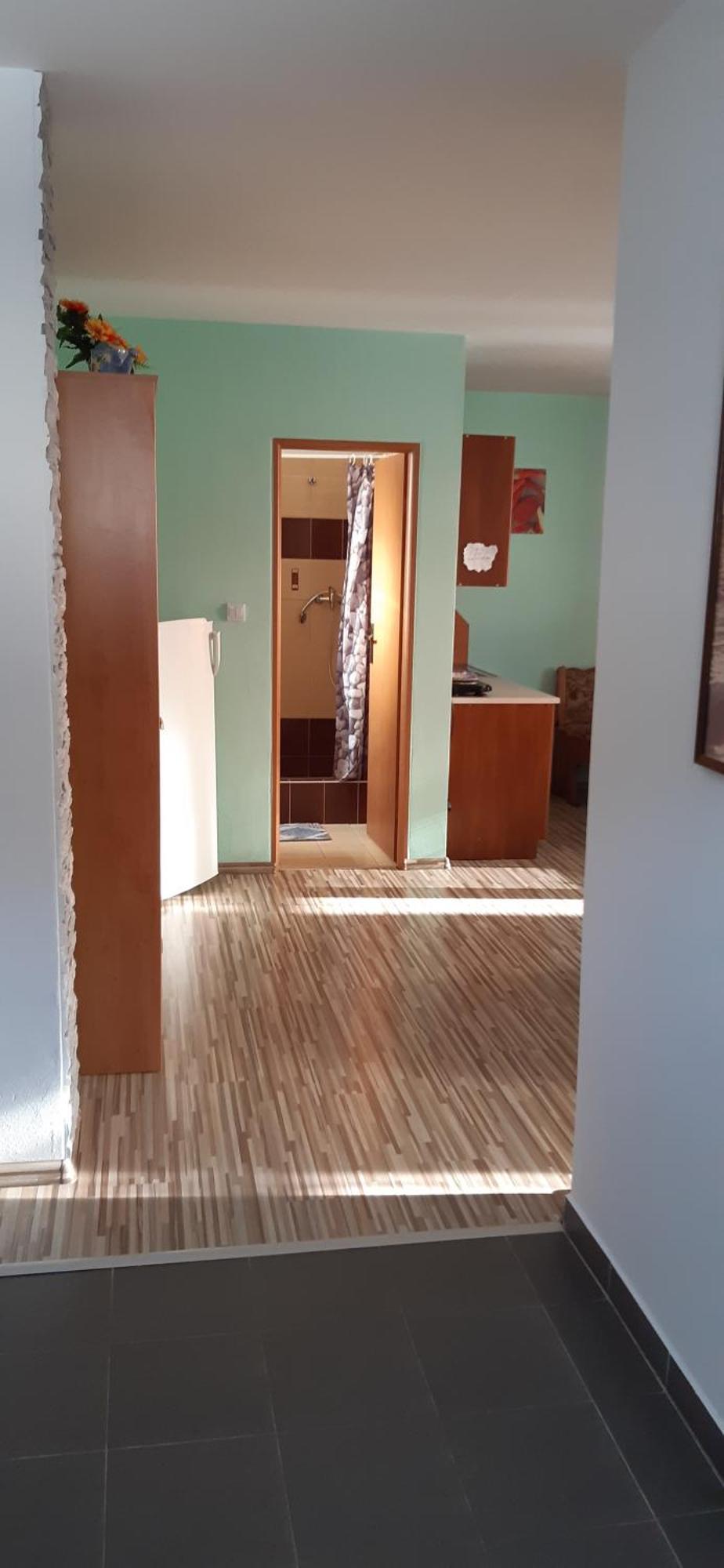 Vyšné Ružbachy Privat Bene 아파트 객실 사진