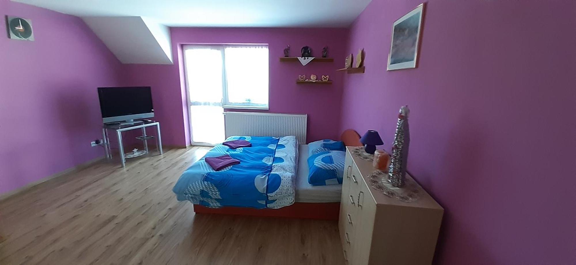 Vyšné Ružbachy Privat Bene 아파트 객실 사진