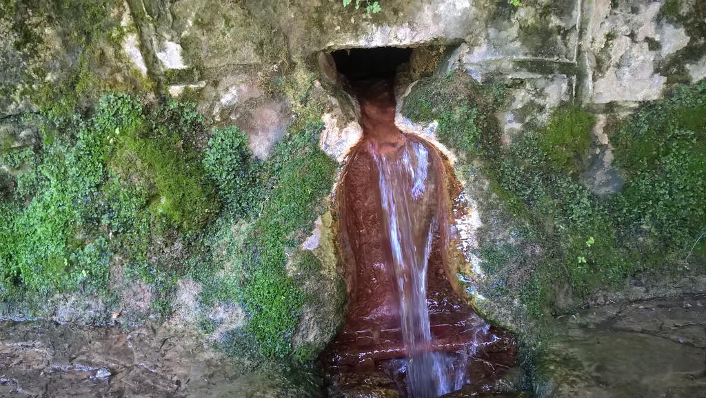 Vyšné Ružbachy Privat Bene 아파트 외부 사진
